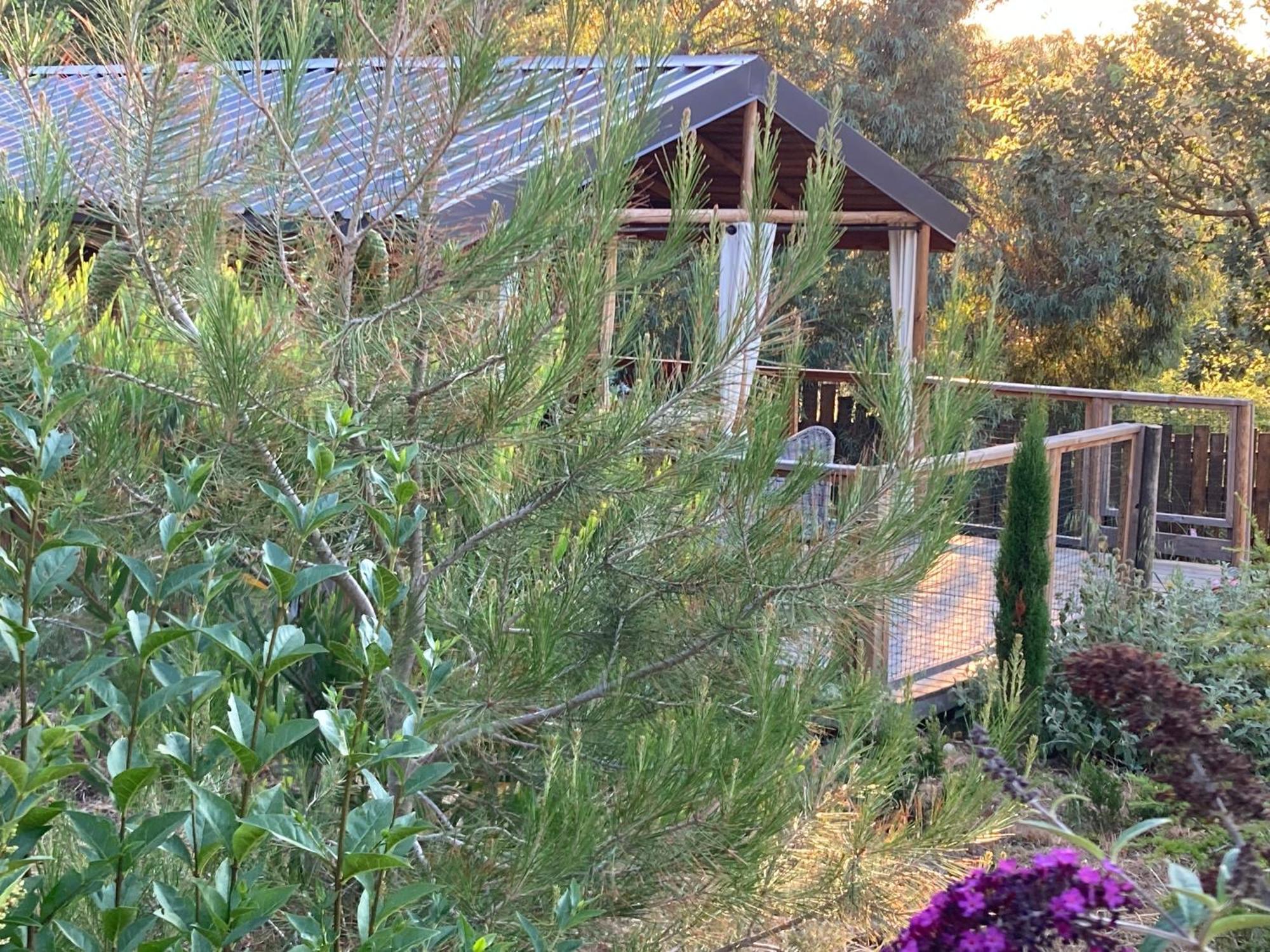 Cabanes Tresors De Campagne,Spas Privatifs Villarzel-du-Razes Exteriér fotografie